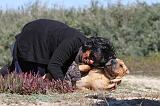 ADULTE ET CHIEN 060